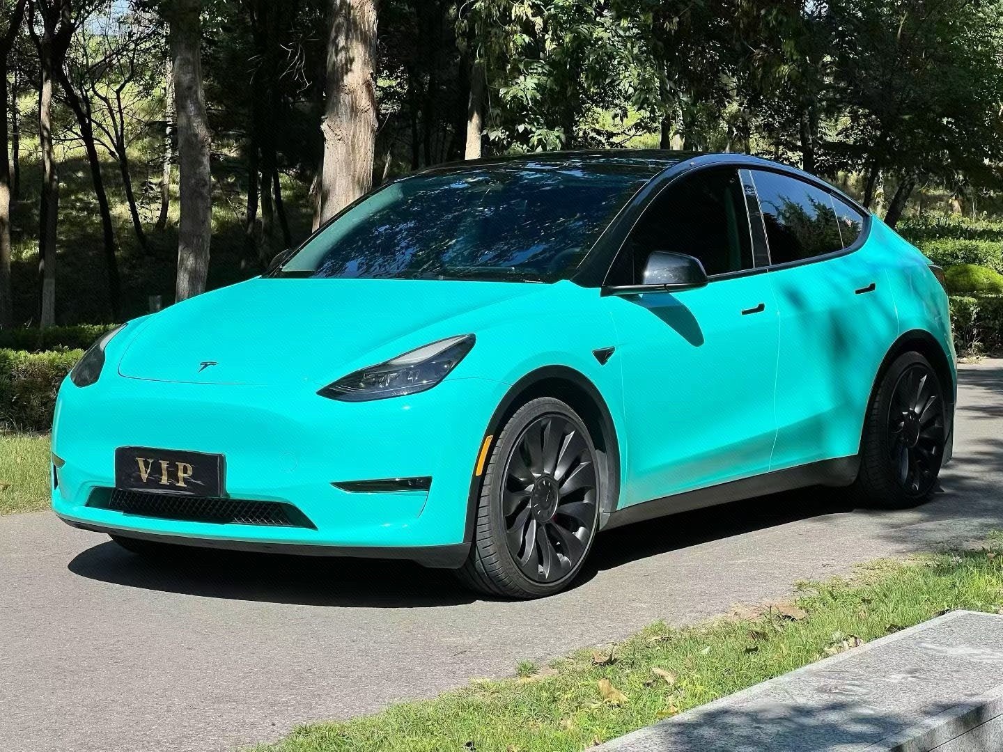 Tesla Model Y 2022 Tesla Model Y 2022 car image
