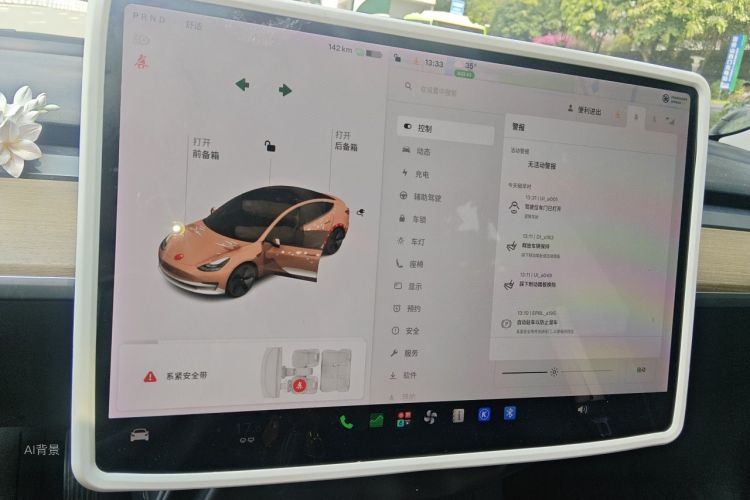 Tesla Model 3 2021 car image #15