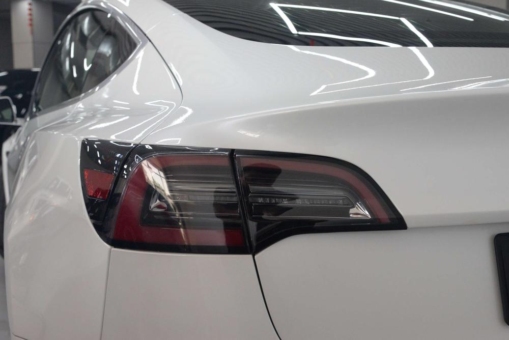 Tesla Model 3 2020 #7 Tesla Model 3 2020 car image #7