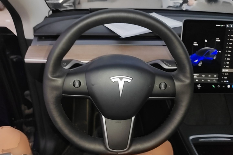 Tesla Model Y 2021 #11 Tesla Model Y 2021 car image #11