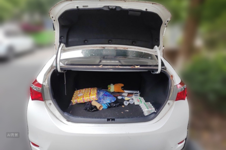 Toyota Corolla 2017 car image #21
