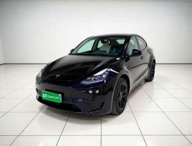 Tesla Model Y 2022 Tesla Model Y 2022 car image