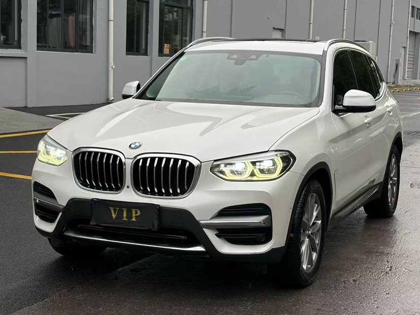 BMW X3 2019 BMW X3 2019 car image