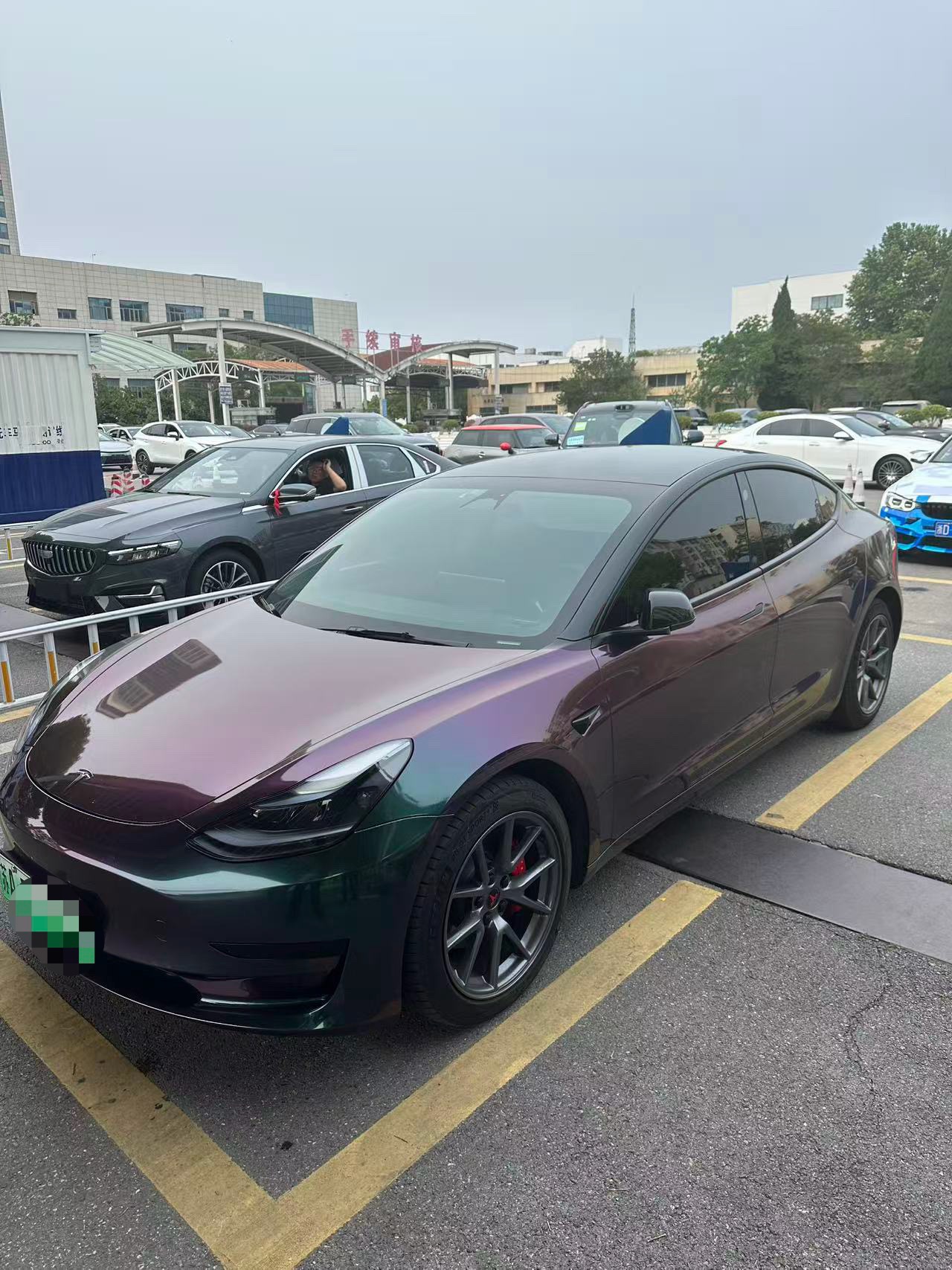 Tesla Model 3 2022 car image 