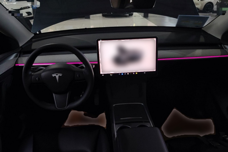 Tesla Model Y 2024 #10 Tesla Model Y 2024 car image #10
