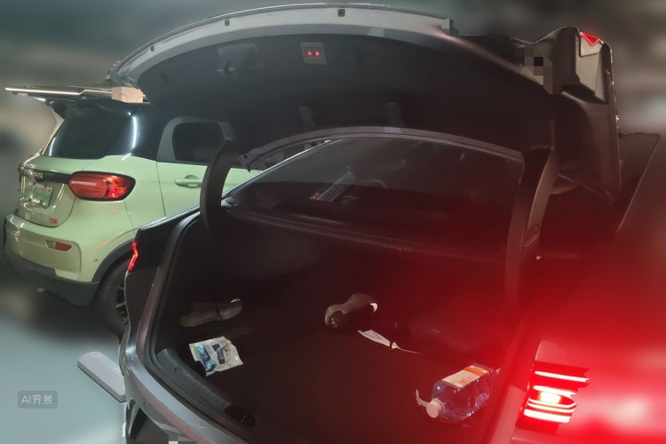 BYD Han 2022 #21 BYD Han 2022 immagine di auto #21