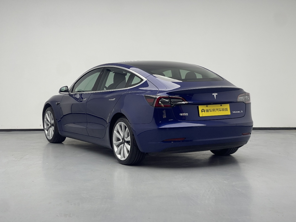 Tesla Model 3 2020 car image #7