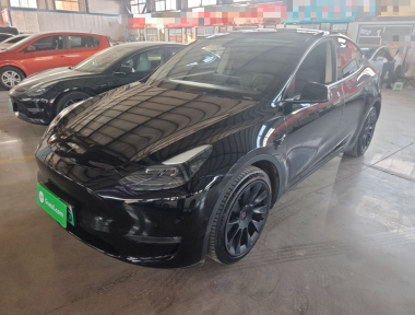 Tesla Model Y 2021 car image 