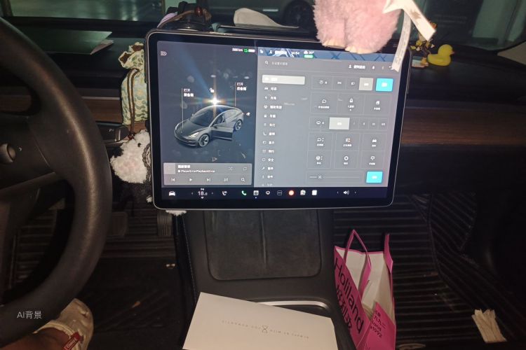 Tesla Model 3 2021 car image #13