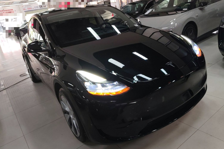Tesla Model Y 2023 #4 Tesla Model Y 2023 car image #4