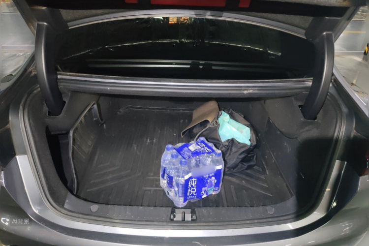 BYD Han 2021 car image #21