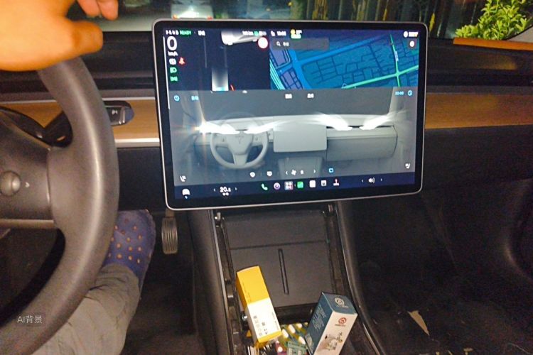 Tesla Model 3 2020 car image #15