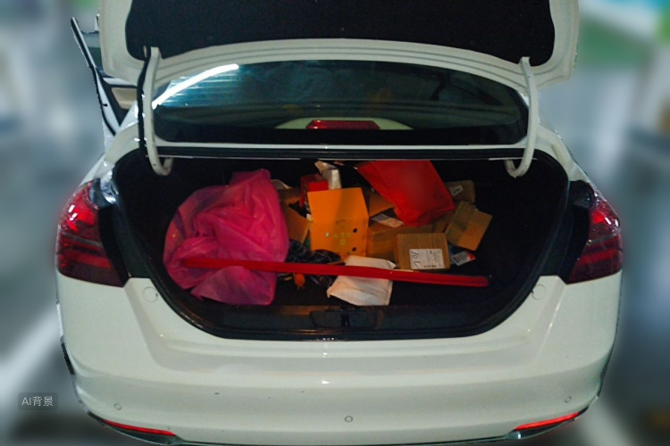 GEELY Emgrand 2018 car image #21