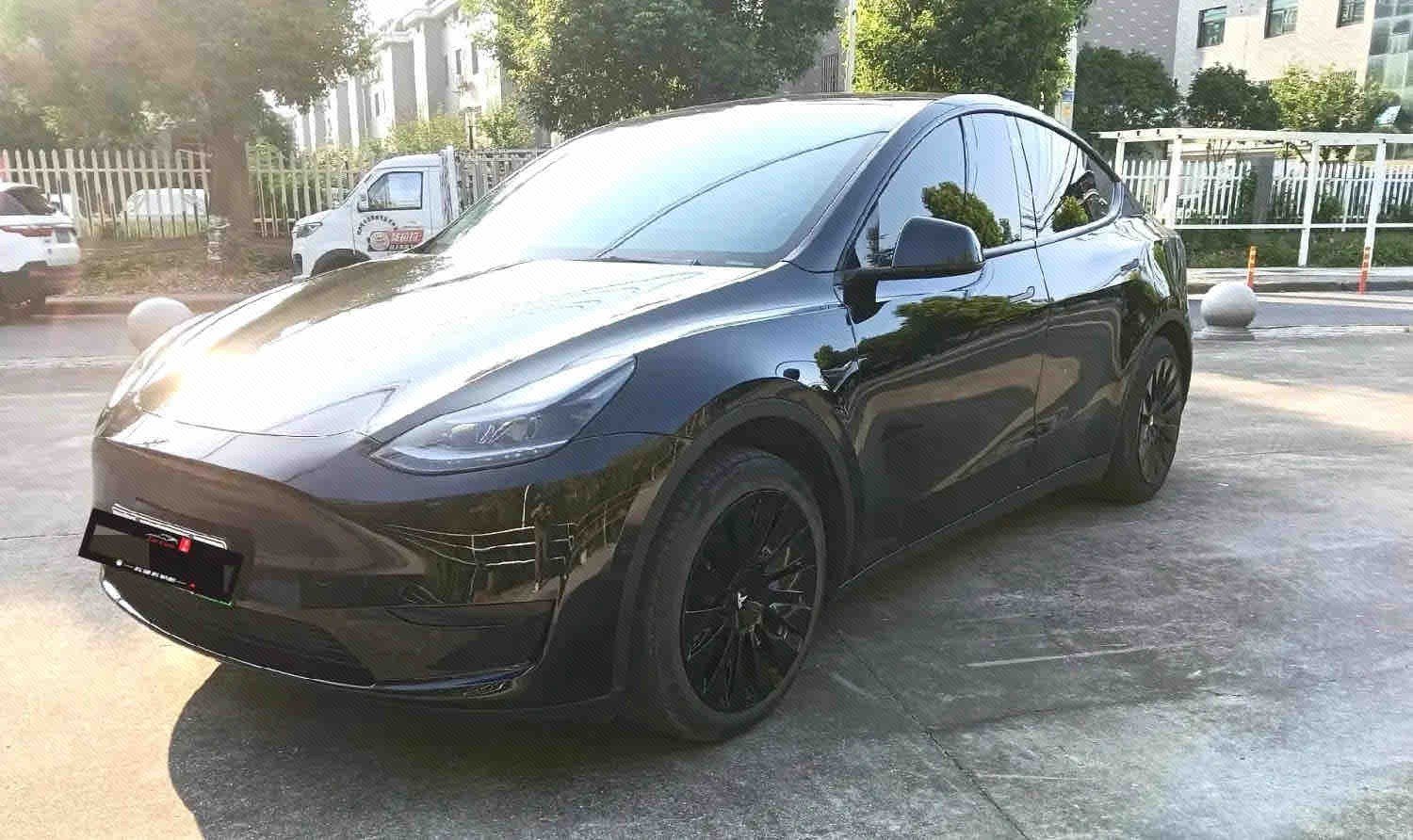 Tesla Model Y 2023 Tesla Model Y 2023 car image