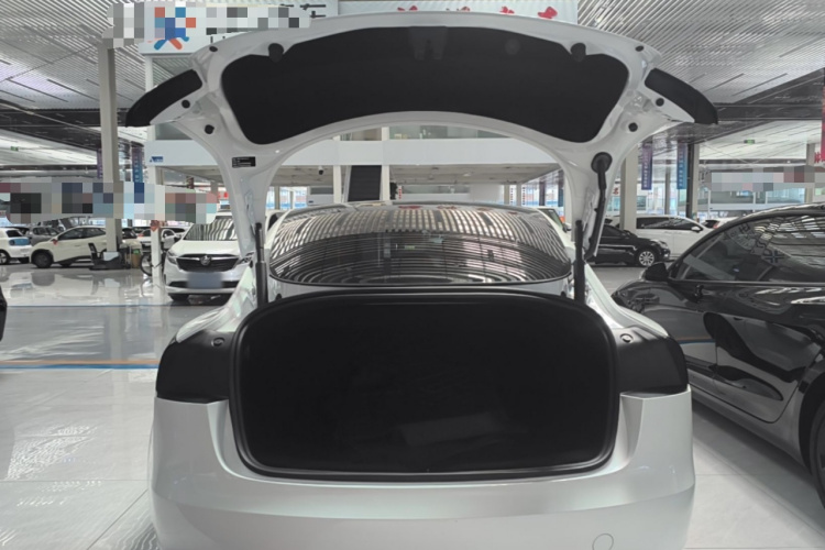 Tesla Model 3 2024 car image #21