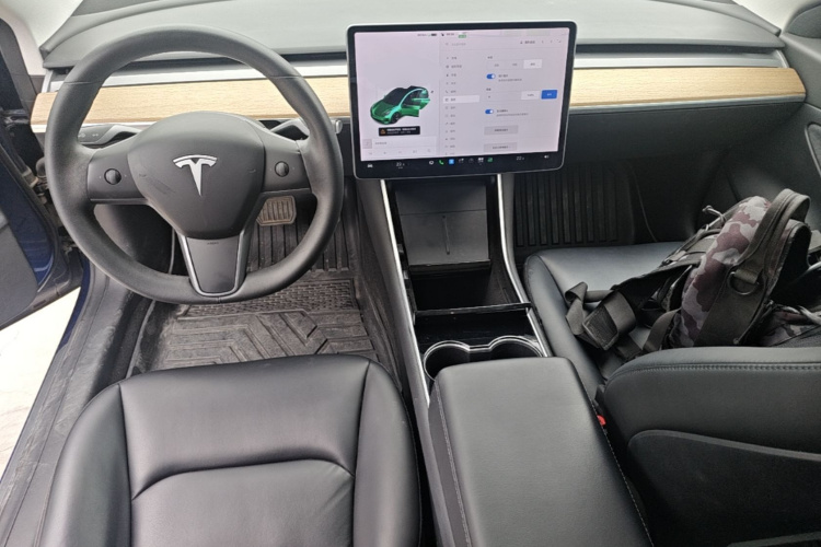 Tesla Model 3 2020 car image #10