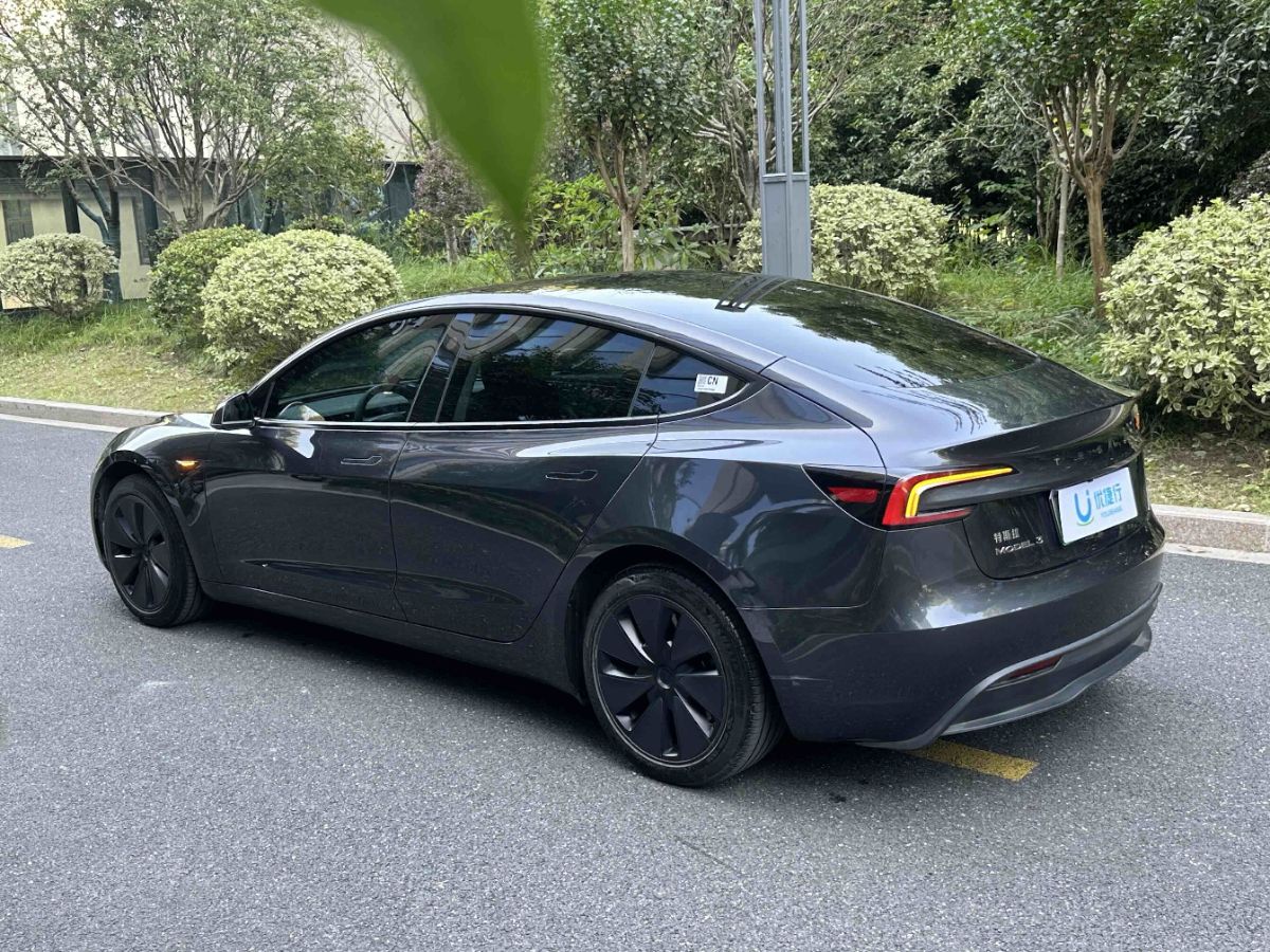 Tesla Model 3 2024 immagine di auto #5