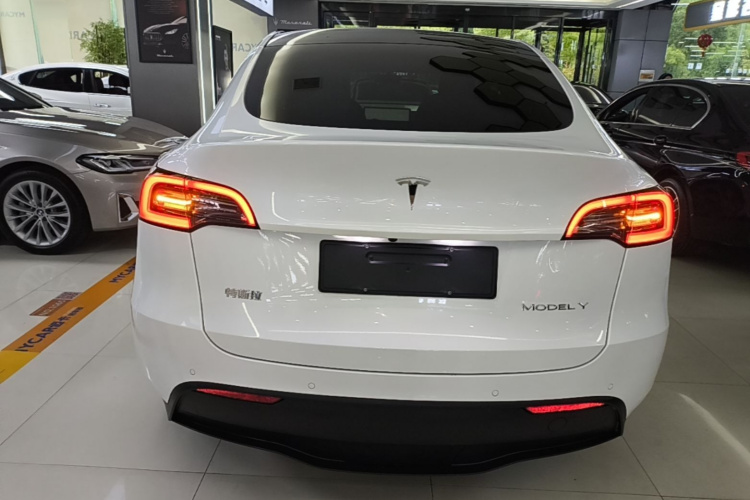 Tesla Model Y 2022 car image #6