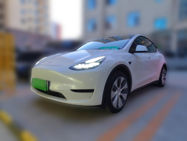 Tesla Model Y 2022 car image 
