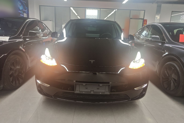 Tesla Model Y 2023 car image #3