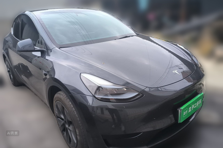 Tesla Model Y 2024 car image #4