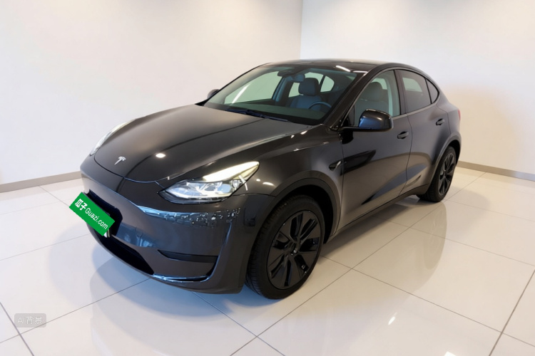 Tesla Model Y 2024 #2 Tesla Model Y 2024 immagine di auto #2