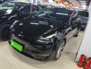 Tesla Model Y 2021 Tesla Model Y 2021 car image