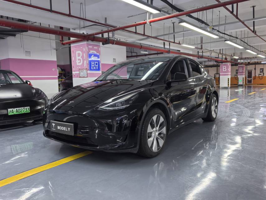 Tesla Model Y 2022 car image 