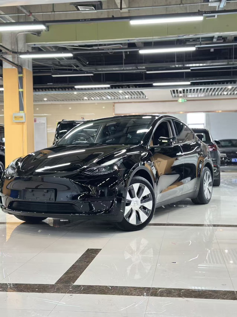 Tesla Model Y 2023 immagine di auto 