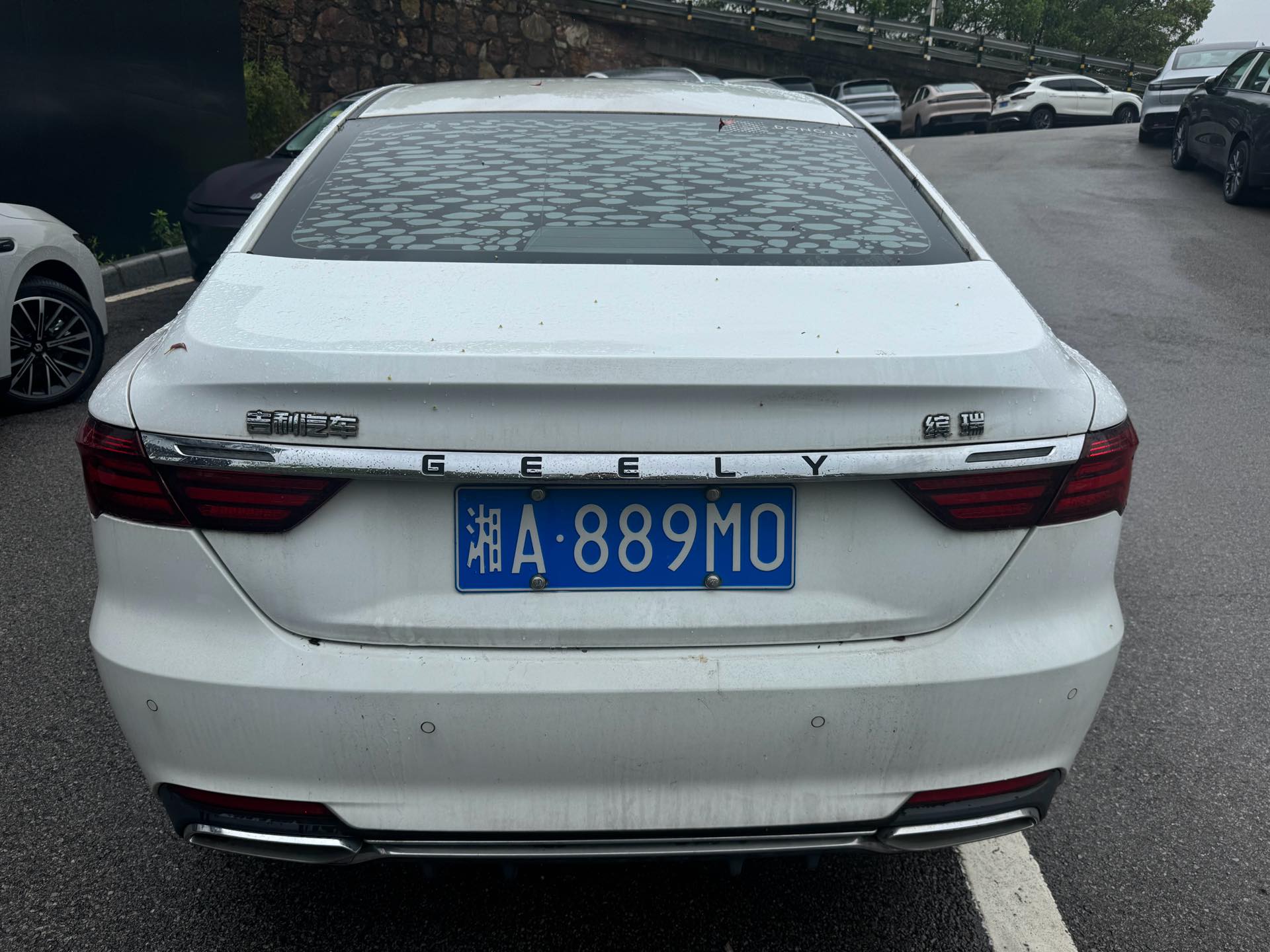 GEELY Binray 2019 image de voiture #11