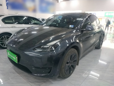 Tesla Model Y 2024 Tesla Model Y 2024 car image
