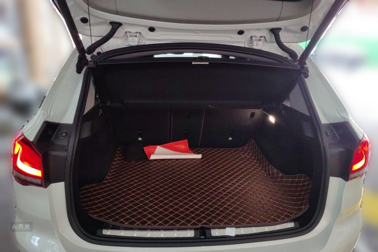 BMW X1 2019 car image #21