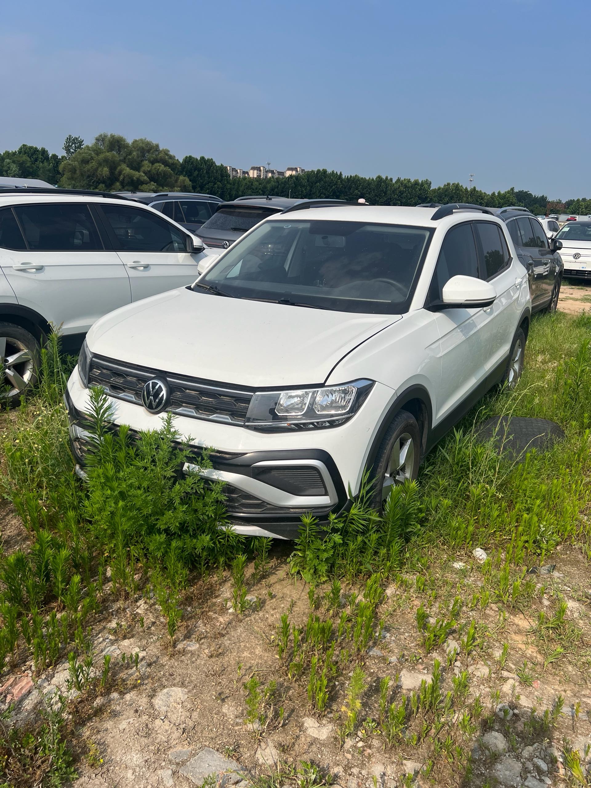 Volkswagen T-Cross 2024 Volkswagen T-Cross 2024 car image
