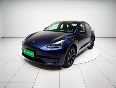 Tesla Model Y 2024 Tesla Model Y 2024 car image