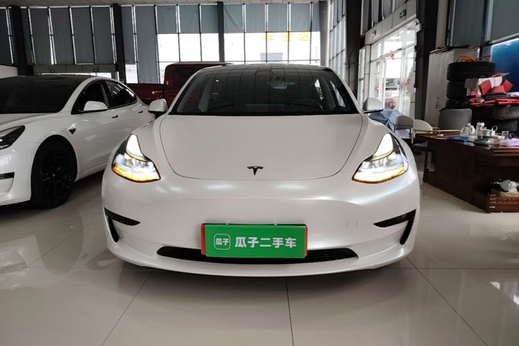 Tesla Model 3 2023 #3 Tesla Model 3 2023 car image #3