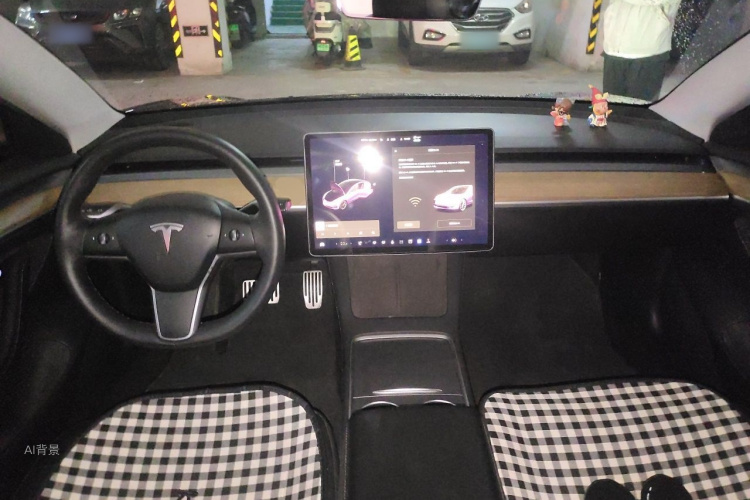 Tesla Model 3 2021 car image #11