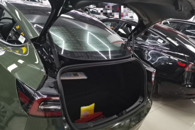 Tesla Model 3 2021 #19 Tesla Model 3 2021 car image #19
