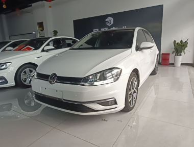Volkswagen Golf 2019 car image 
