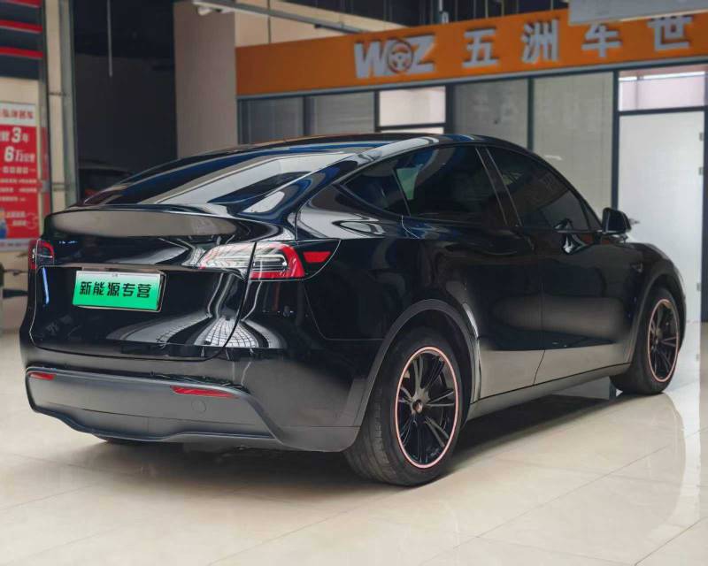 Tesla Model Y 2023 #6 Tesla Model Y 2023 car image #6