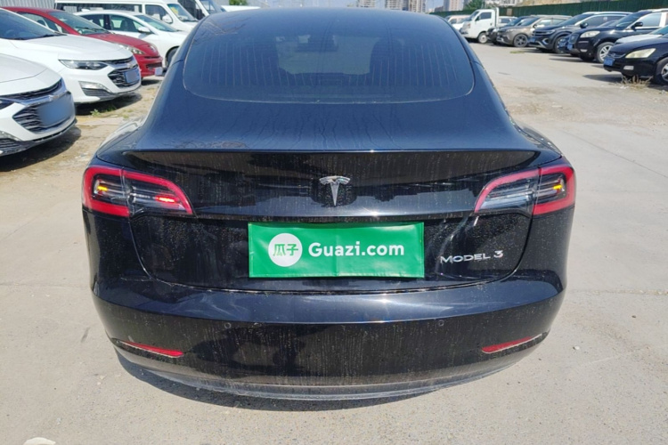Tesla Model 3 2020 car image #6