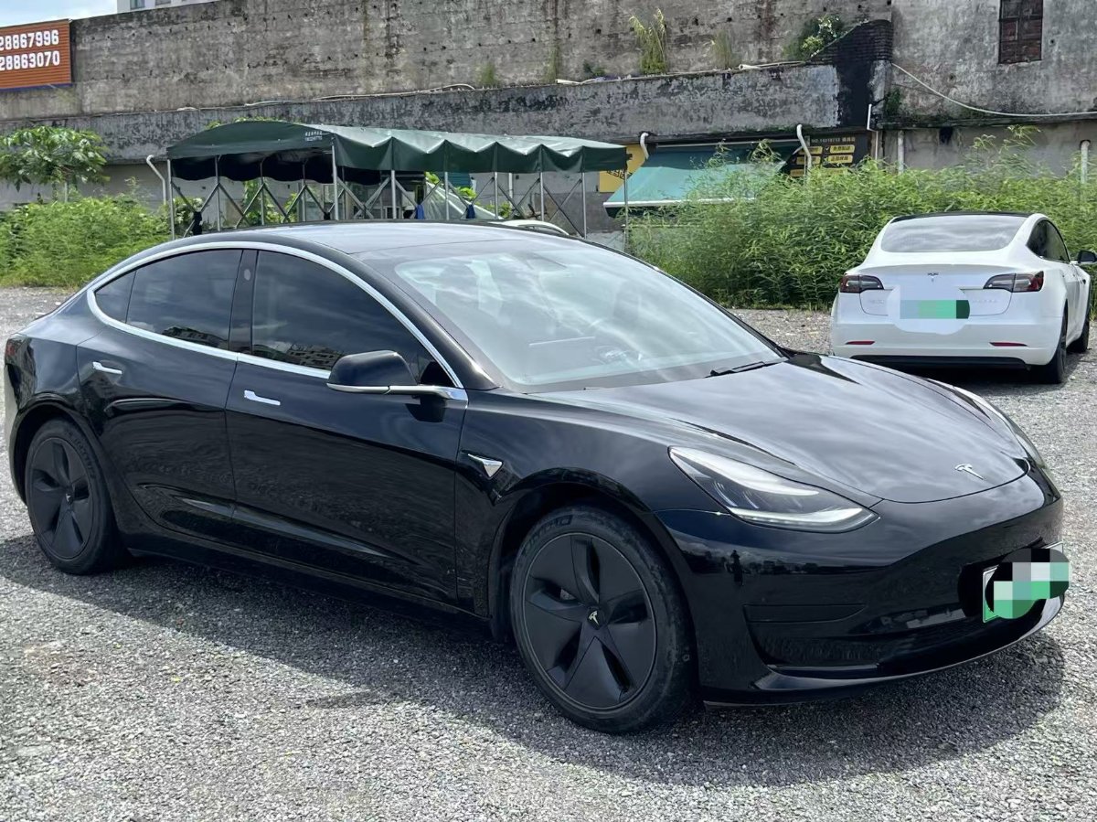 Tesla Model 3 2020 #3 Tesla Model 3 2020 car image #3