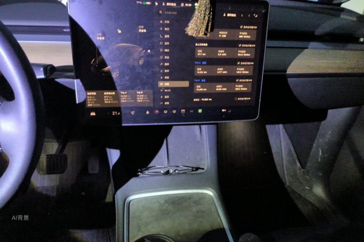 Tesla Model Y 2021 #15 Tesla Model Y 2021 car image #15