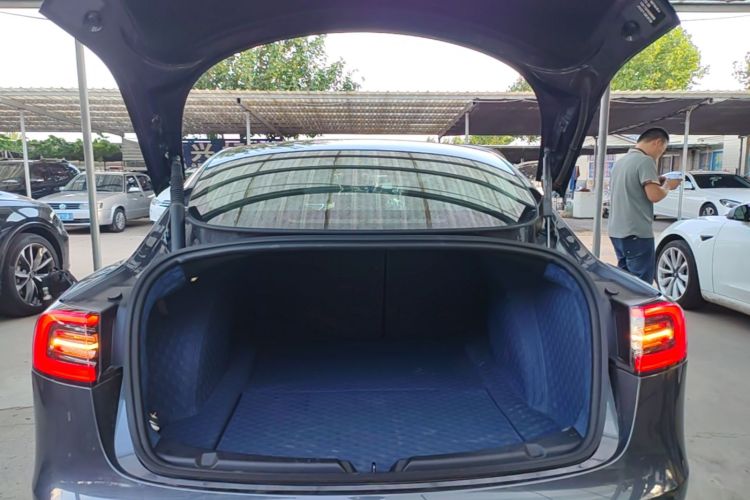 Tesla Model 3 2021 #19 Tesla Model 3 2021 car image #19