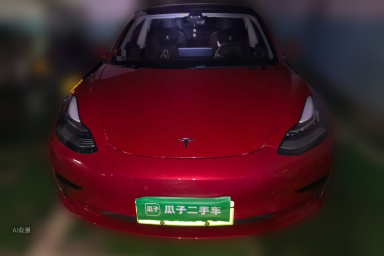 Tesla Model 3 2020 car image #3