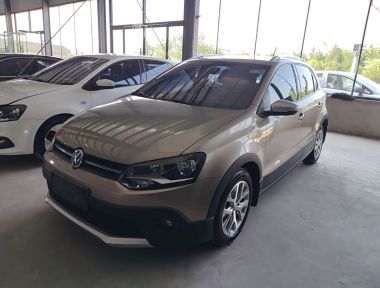 Volkswagen Polo 2016 Volkswagen Polo 2016 car image