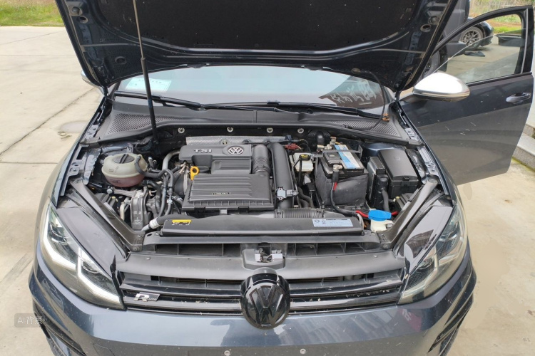 Volkswagen Golf 2019 car image #22
