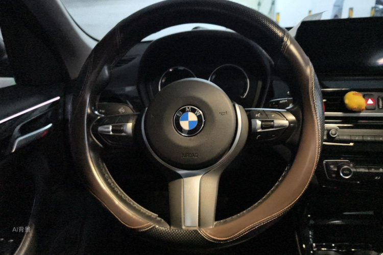 BMW X1 2020 car image #12