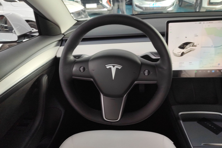 Tesla Model 3 2021 car image #11