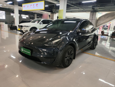 Tesla Model Y 2024 car image 