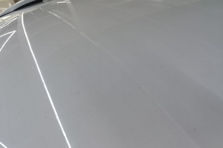 Volkswagen Tharu 2019 car image #25